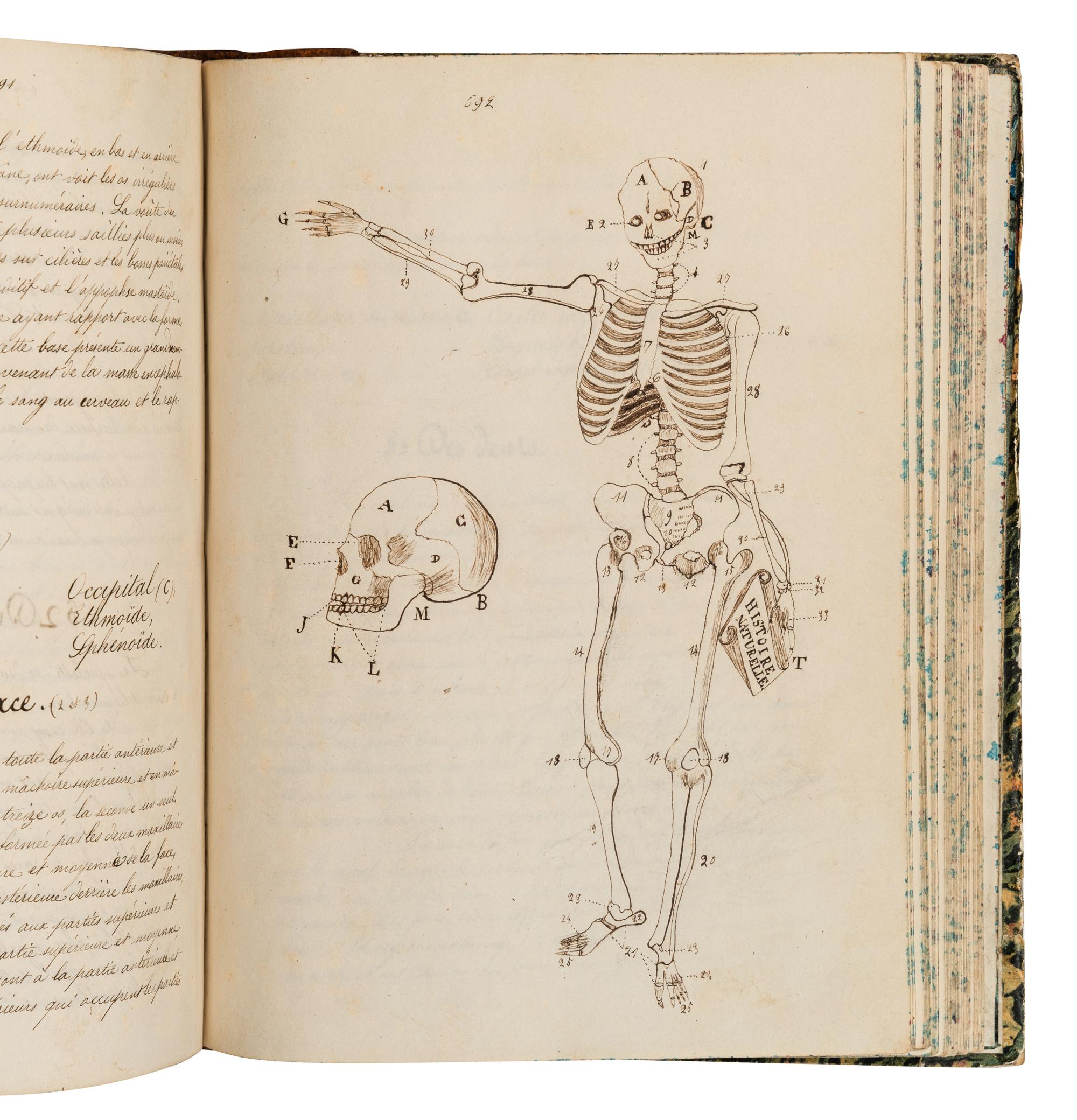 [MANUSCRIPT - NATURAL HISTORY]. “Cours de Culture. 1855-56”. [France, c.1856].