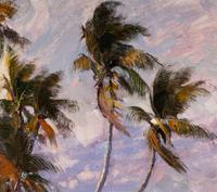 Windy Naples Beach