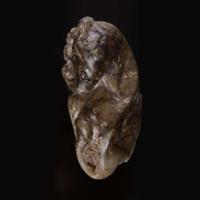 A Chinese brown and beige jade carving of a Baku 玉雕貘 Ming dynasty or earlier ????