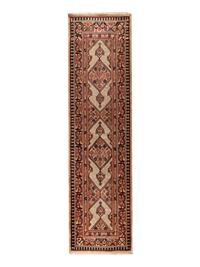 A Northwest Persian Runner
