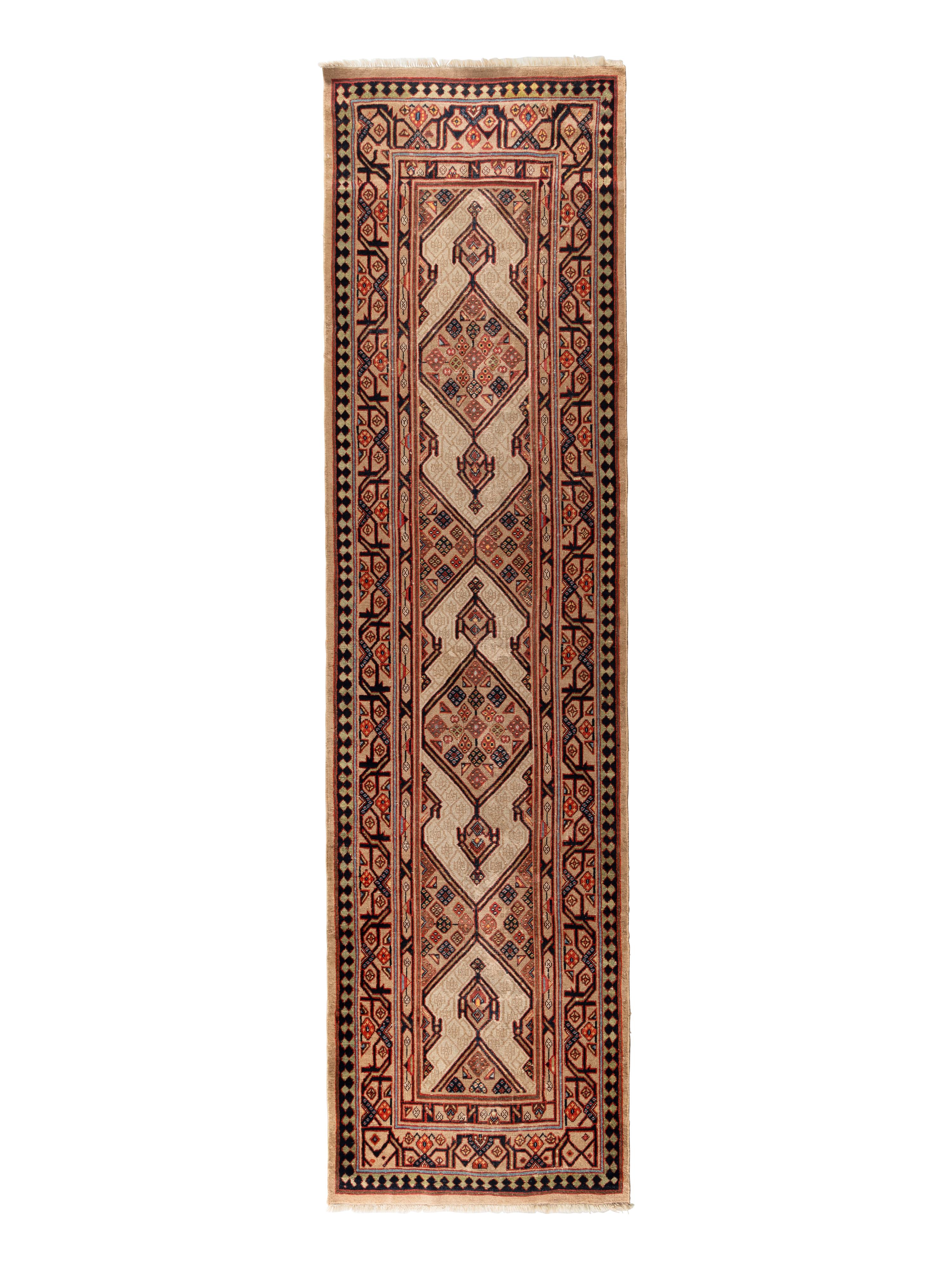 A Northwest Persian Runner