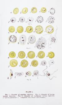 (CLASSICS OF MEDICINE) . A collection of 98 volumes from the Classics of Medicine Library.