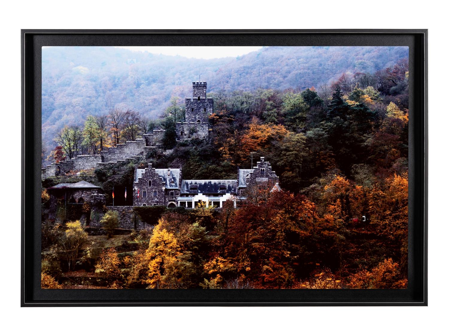 Rhine Valley Gorge Castle