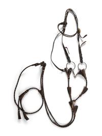 Hitched Horsehair Bridle