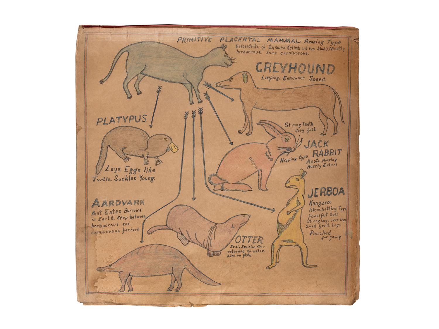 A Bound Set of Folk Art Scientific Drawings