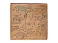 A Bound Set of Folk Art Scientific Drawings