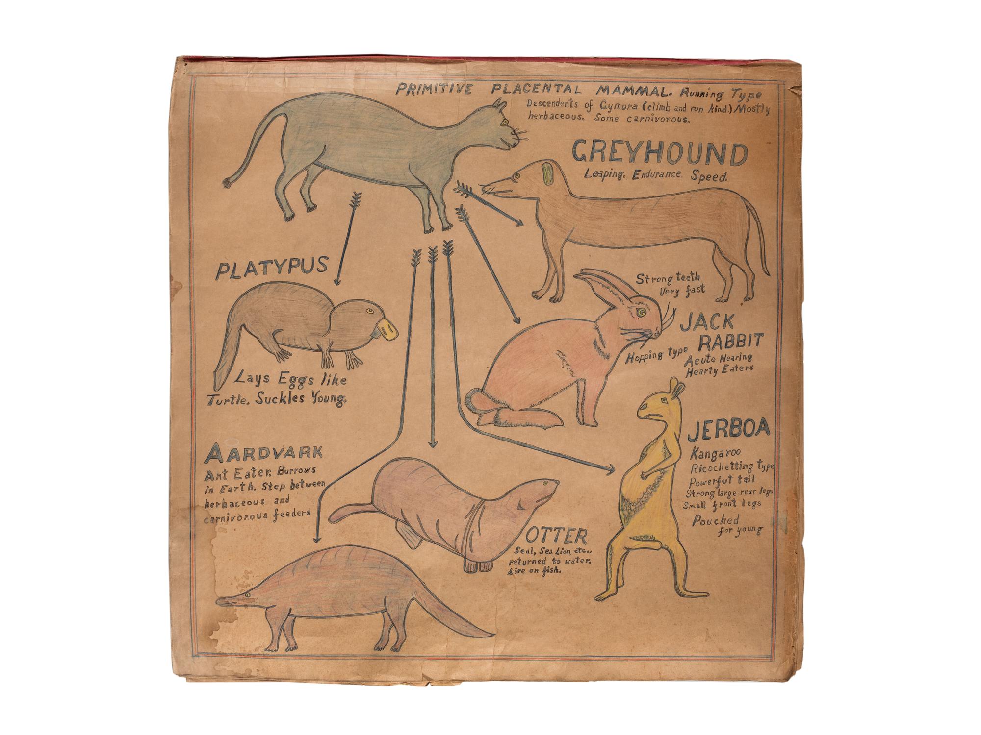 A Bound Set of Folk Art Scientific Drawings