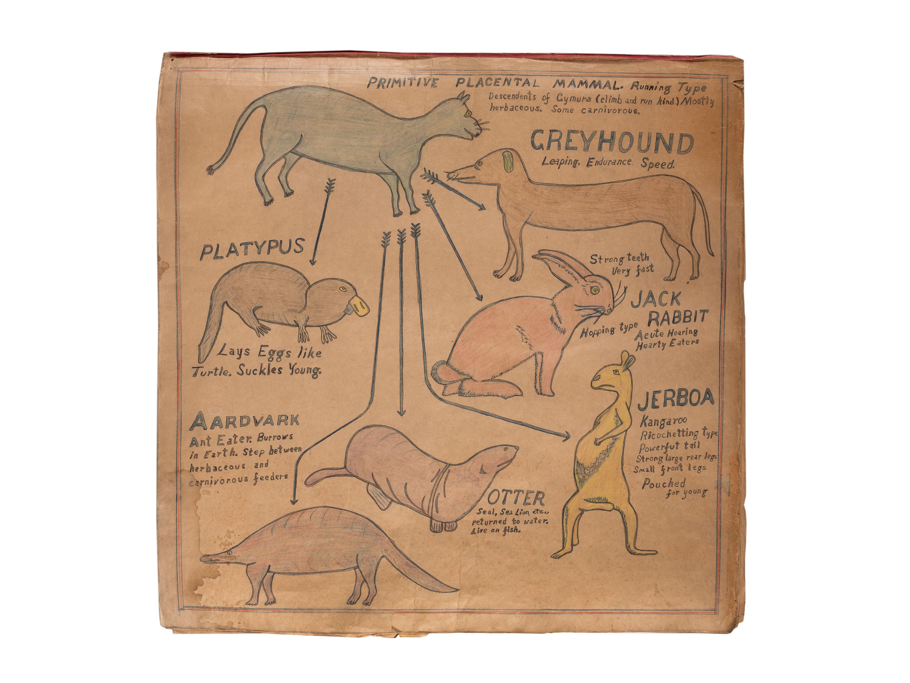 A Bound Set of Folk Art Scientific Drawings