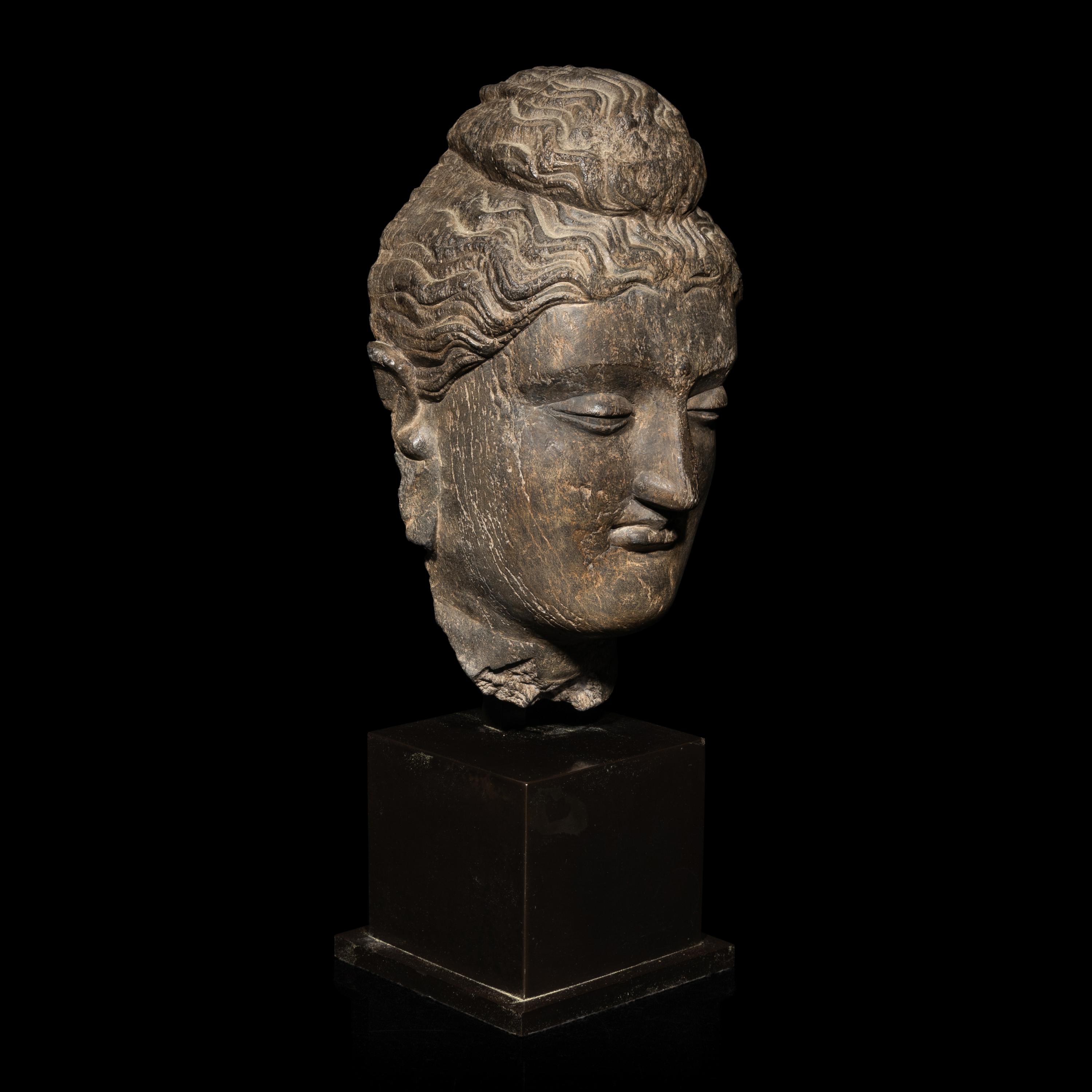 A Gandharan Grey Schist Head of Buddha, 3rd/4th Century