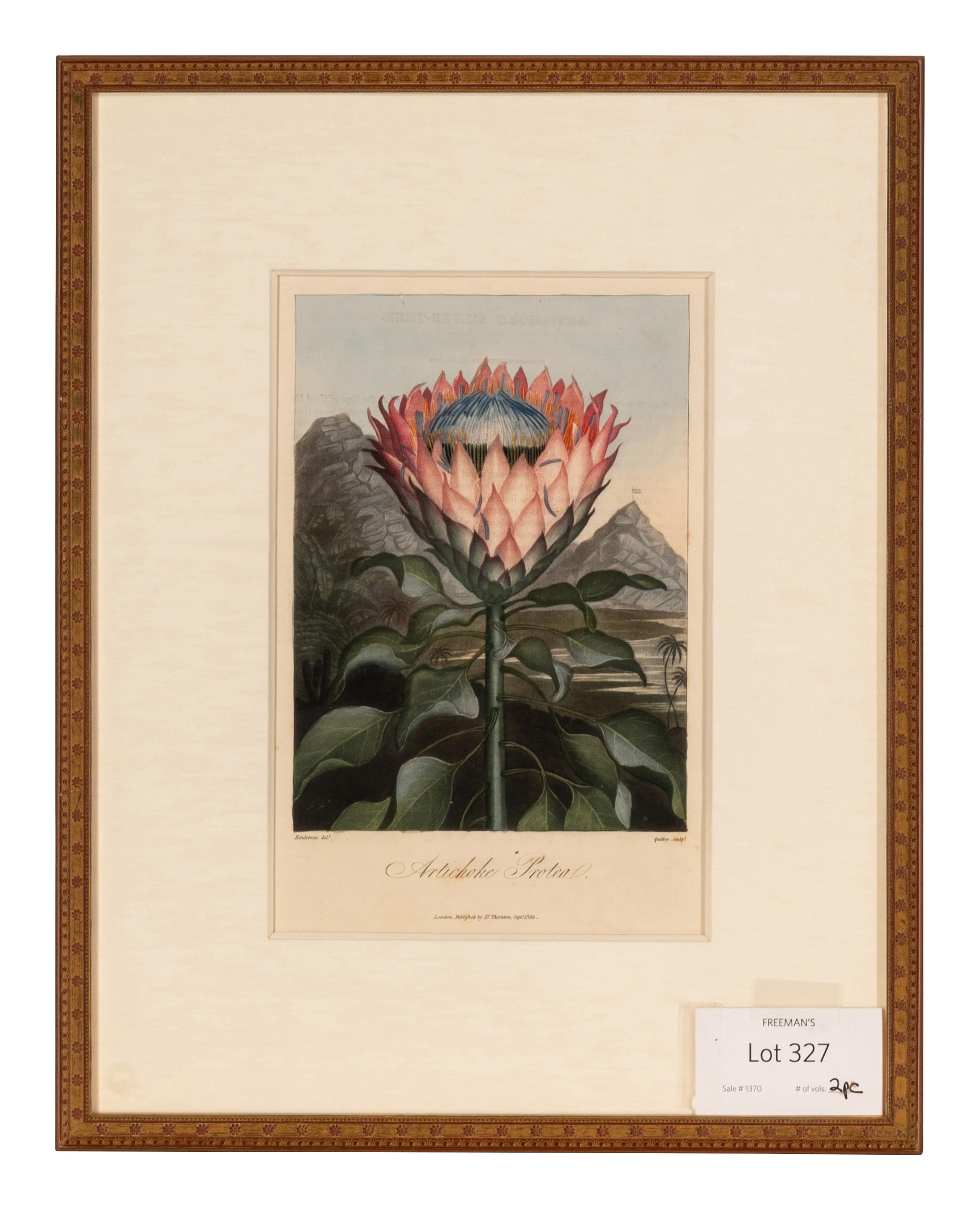 [NATURAL HISTORY]. THORNTON, Robert John (1768-1837). A group of 6 botanical plates from Thornton's 1812 quarto edition Temple of Flora . [London: for the author, 1812].
