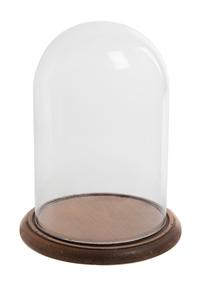 An American Glass Display Dome Height 12 1/2 inches,
