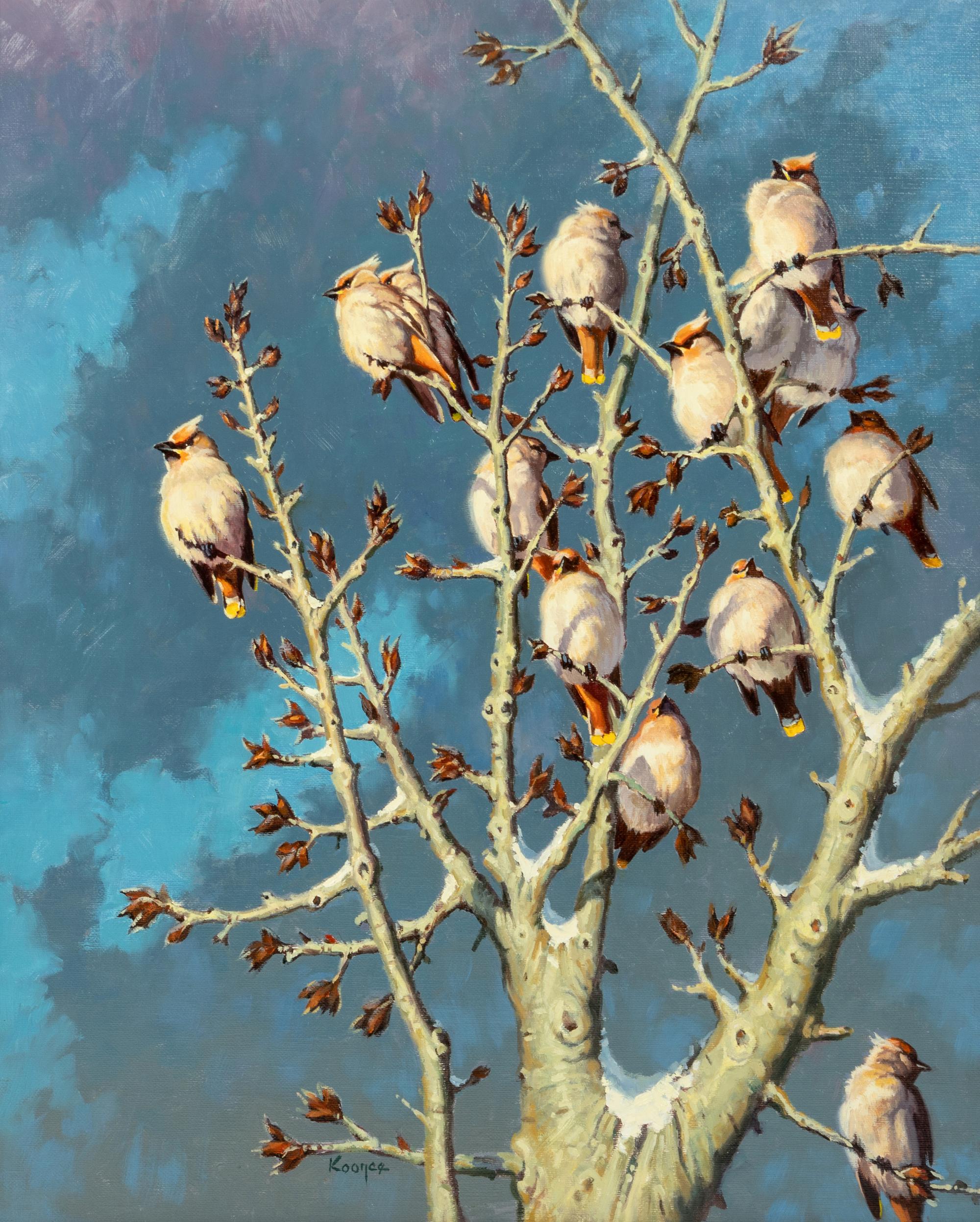 Eyes on Winter Skies