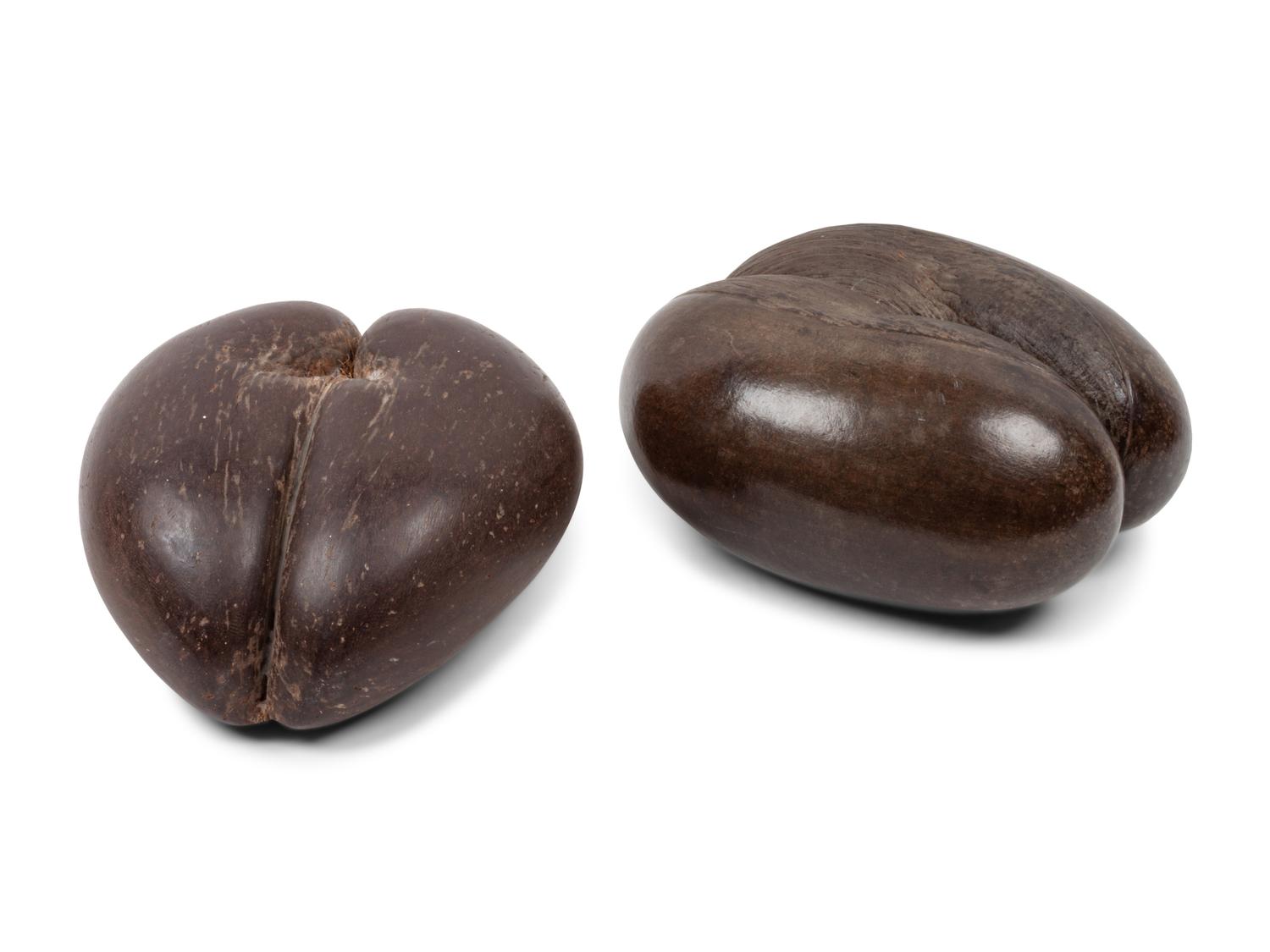 A Pair of Coco de Mer Nuts