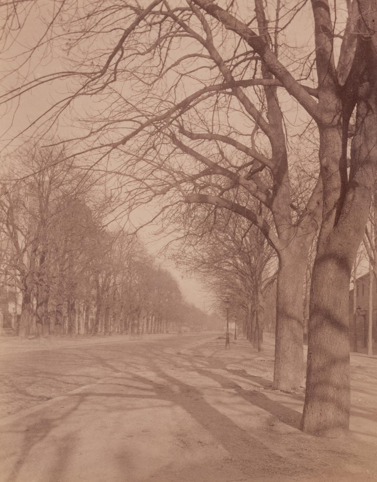 A group of five photographs depicting Paris ( Les Archives - rue des Francs Bourgeois , 1899-1900; Annexe de l'Hôtel Dieu, rue de la Bucherie, cour Saint Julien , 1902-1903; H ô tel de Chanac [cour], 127 rue de Grenelle , 1907; Saint-M é dard, 1926; Avenue de l'Observatoire , 1899-1900)