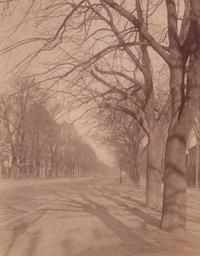 A group of five photographs depicting Paris ( Les Archives - rue des Francs Bourgeois , 1899-1900; Annexe de l'Hôtel Dieu, rue de la Bucherie, cour Saint Julien , 1902-1903; H ô tel de Chanac [cour], 127 rue de Grenelle , 1907; Saint-M é dard, 1926; Avenue de l'Observatoire , 1899-1900)
