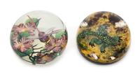 A Dragonfly and Salamander Weight Diameter 3 inches