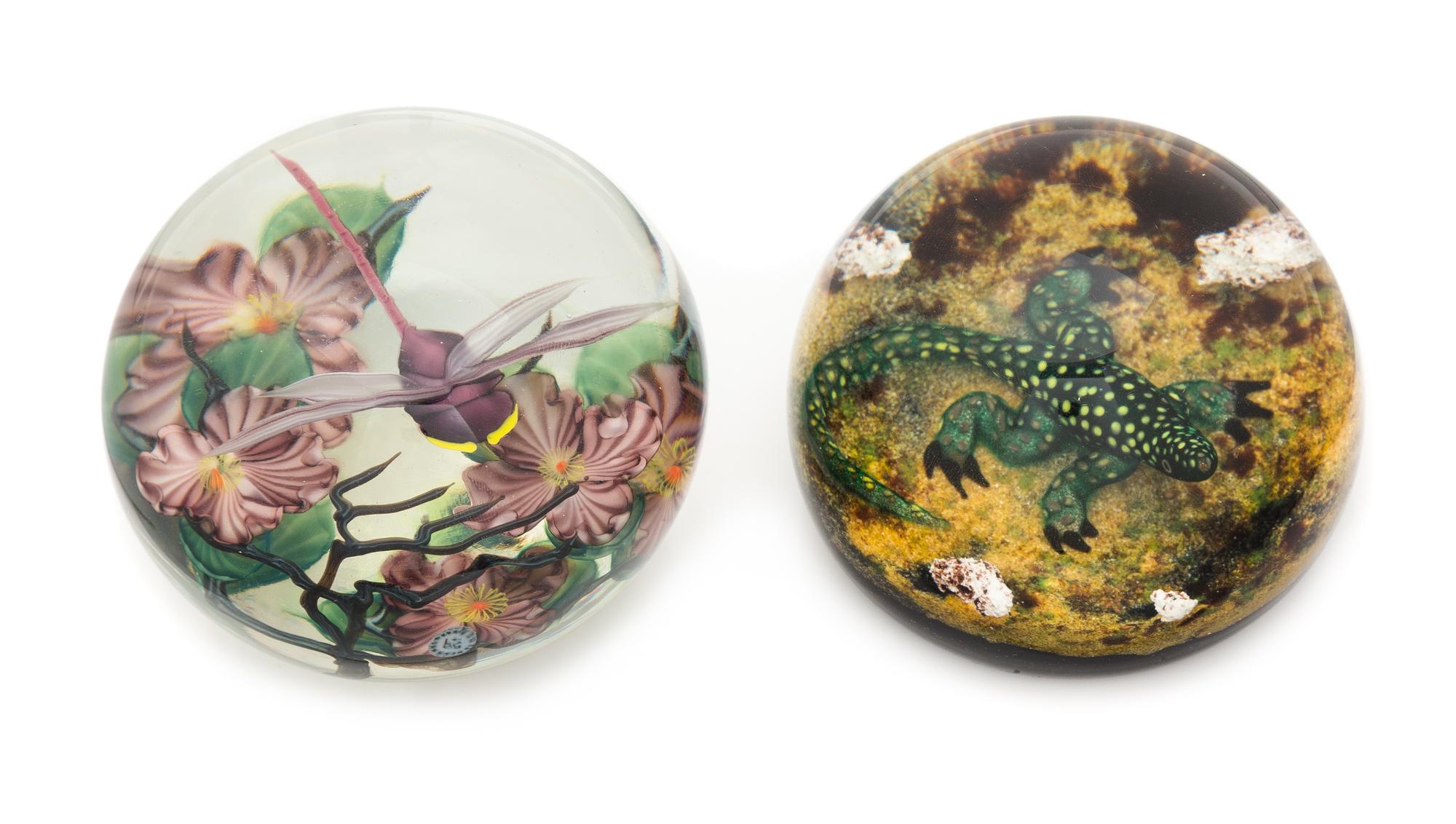 A Dragonfly and Salamander Weight Diameter 3 inches