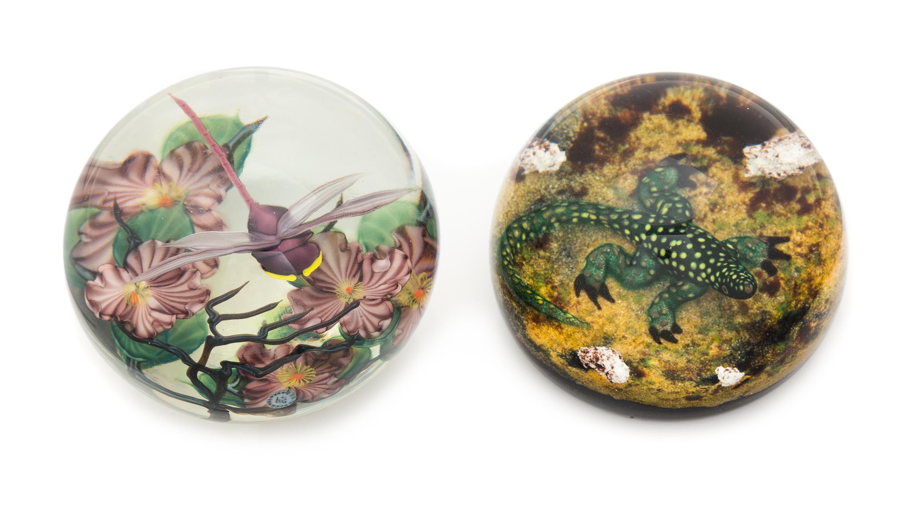 A Dragonfly and Salamander Weight Diameter 3 inches