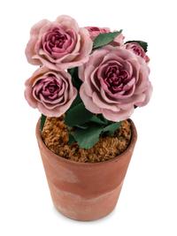 A Group of Tole and Porcelain Models of Flowers