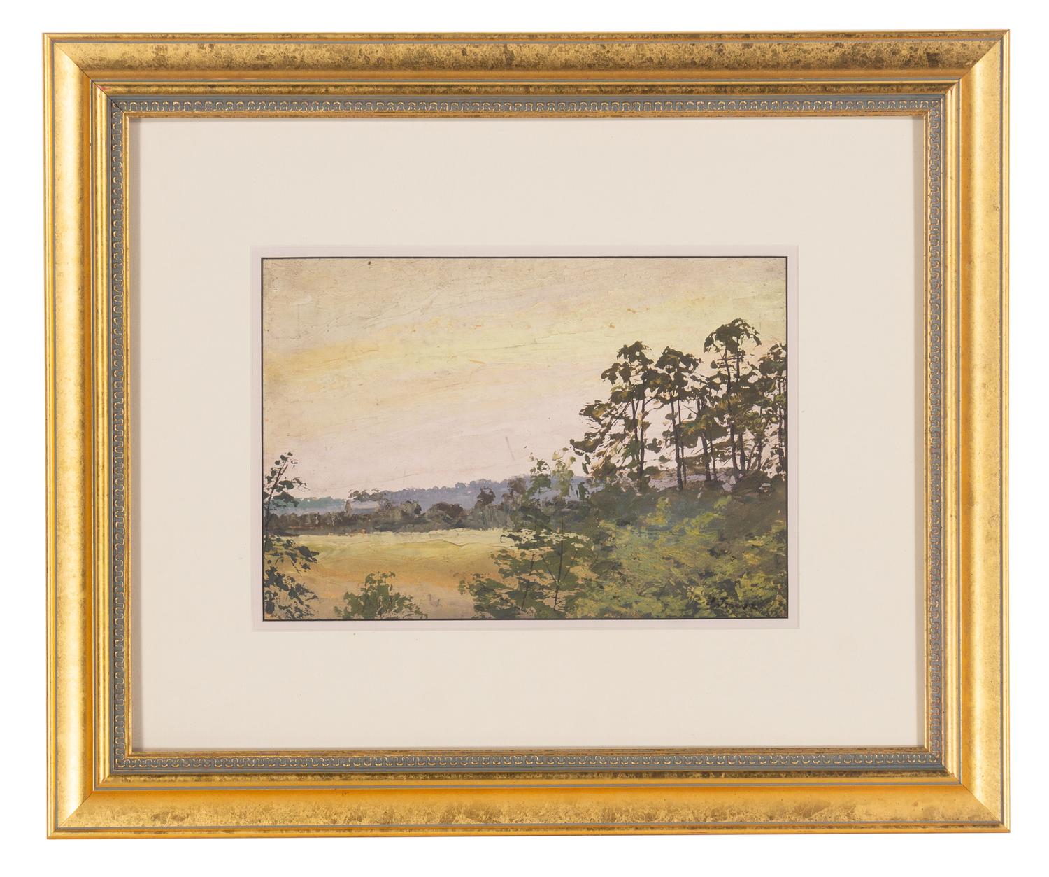 Forest Scene