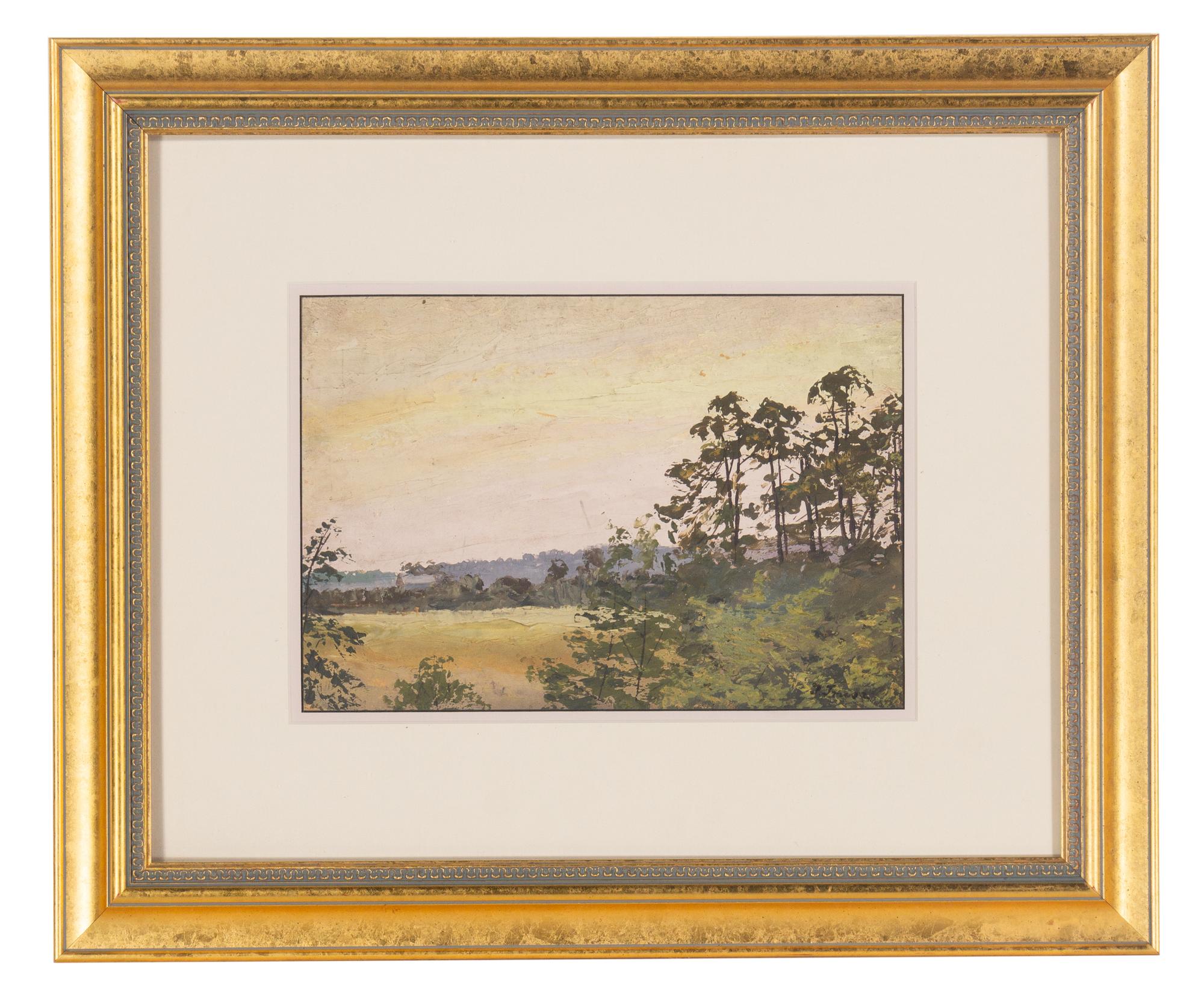 Forest Scene