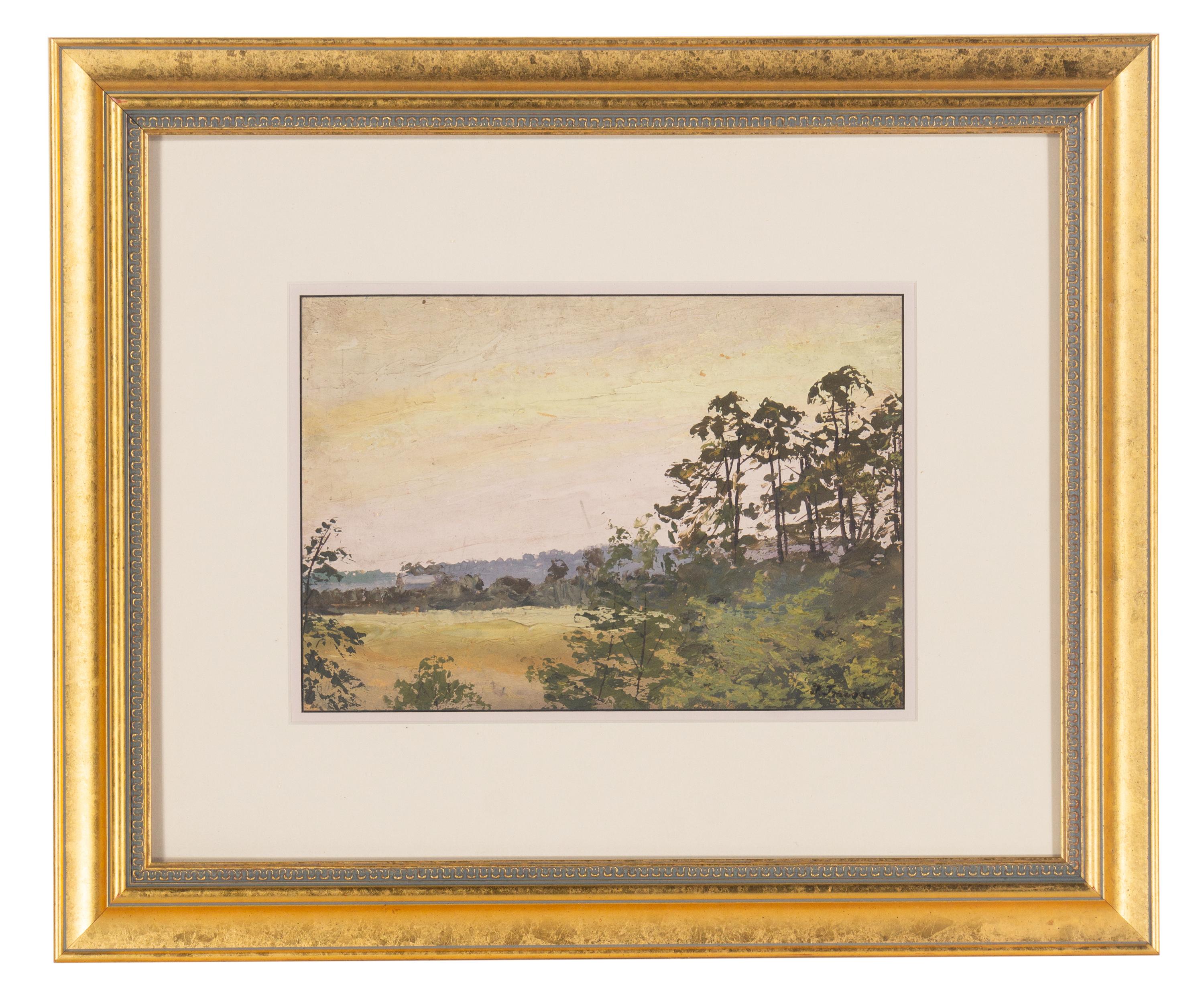 Forest Scene