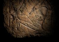 An Egyptian Limestone Relief