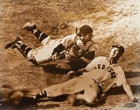 A Group of Yogi Berra Signed Autograph Items (Beckett Authentication Services, Steiner),
