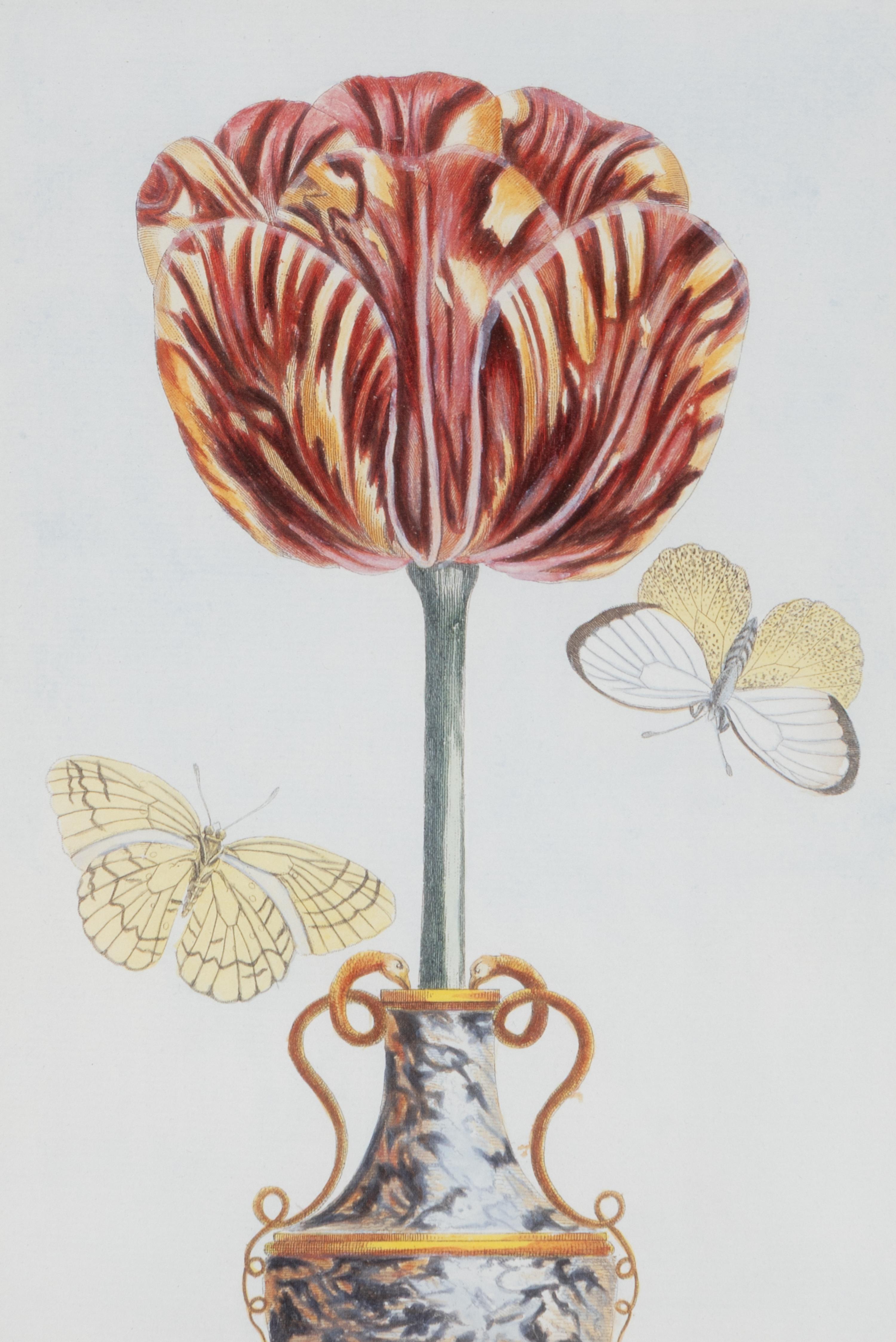 A Set of Four Botanical Prints