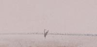 Drifting Whiteness , 1975