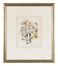 Three Botanical Prints