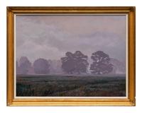 Foggy Meadow