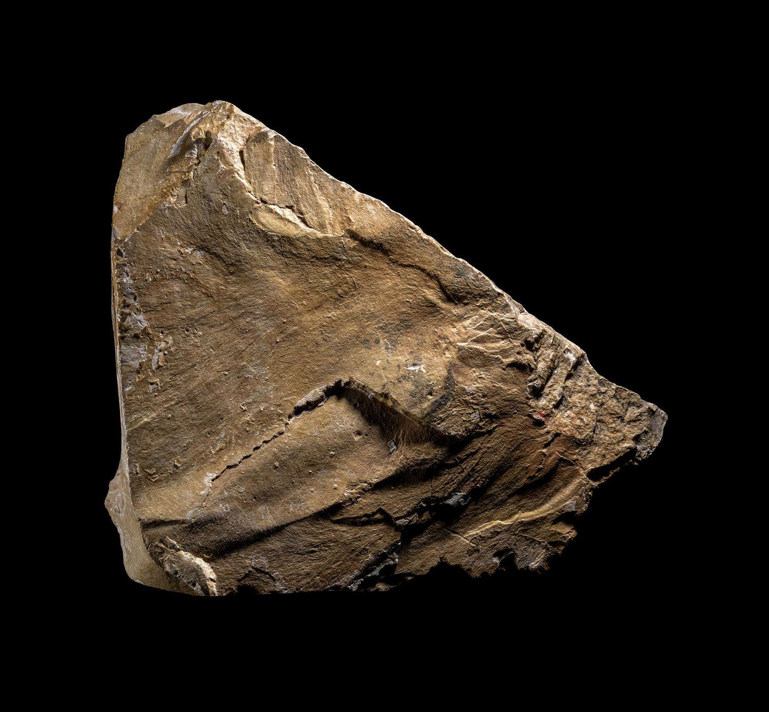 An Egyptian Limestone Wall Fragment