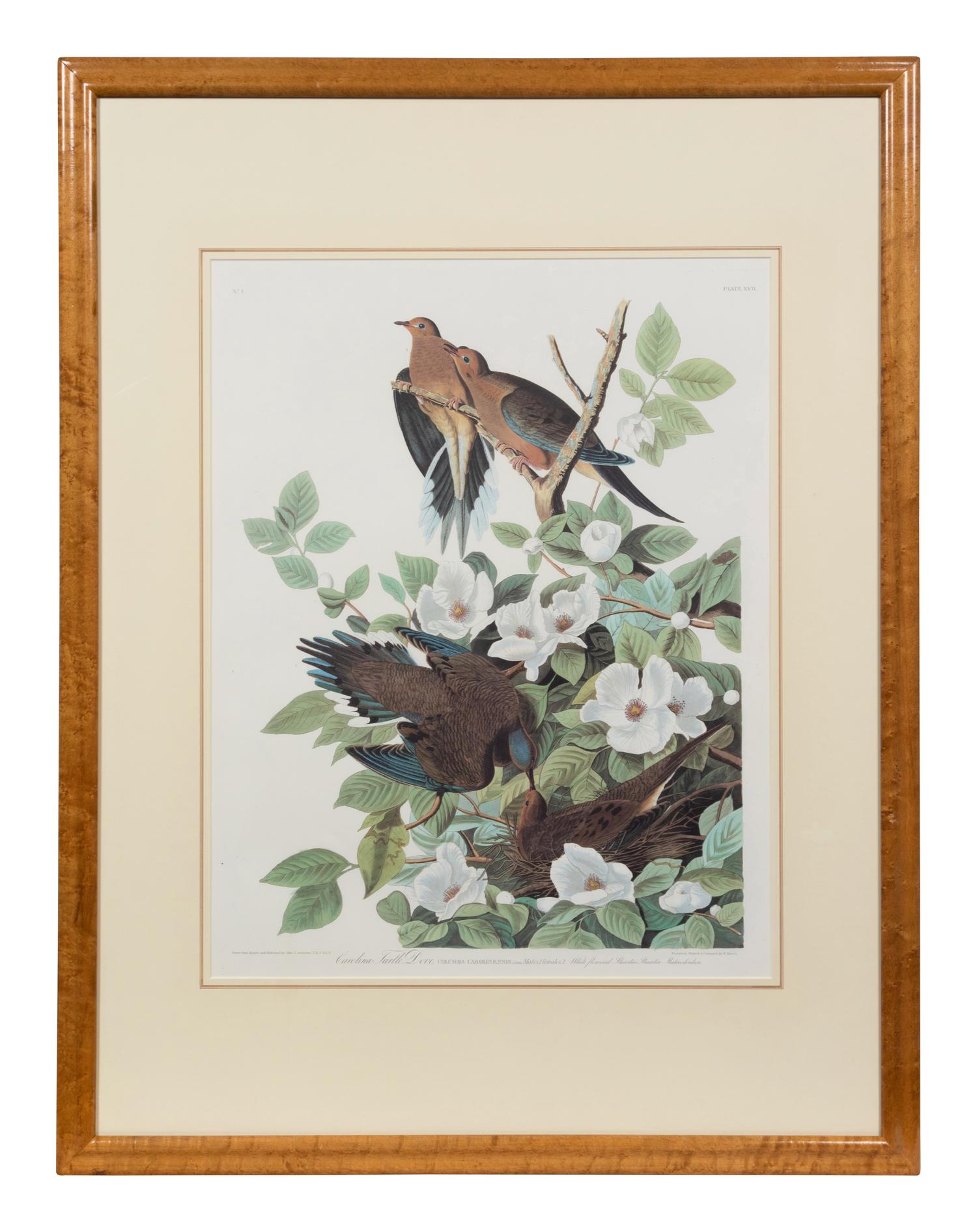 After John James Audubon (American, 1785-1851)