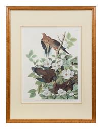 After John James Audubon (American, 1785-1851)