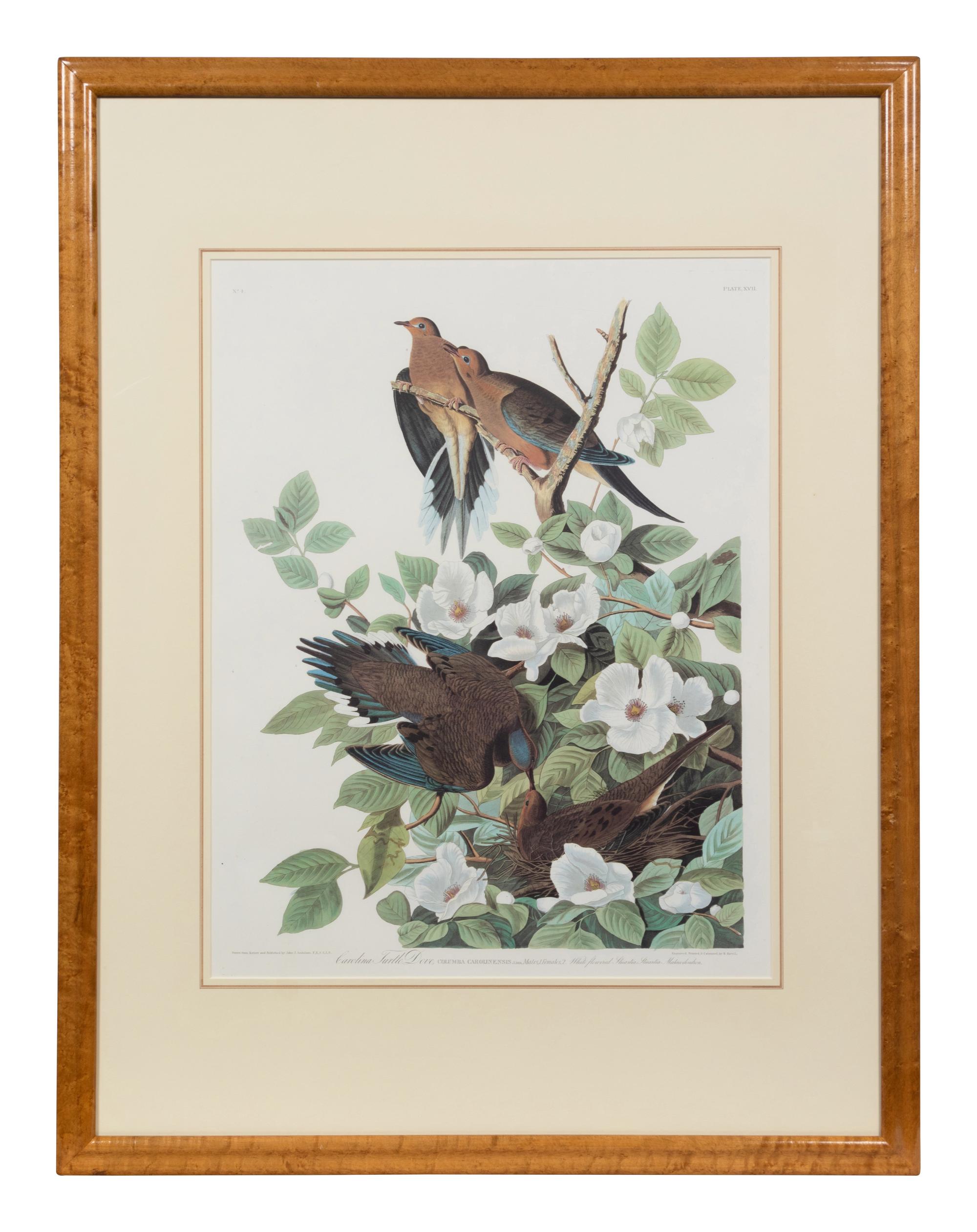 After John James Audubon (American, 1785-1851)