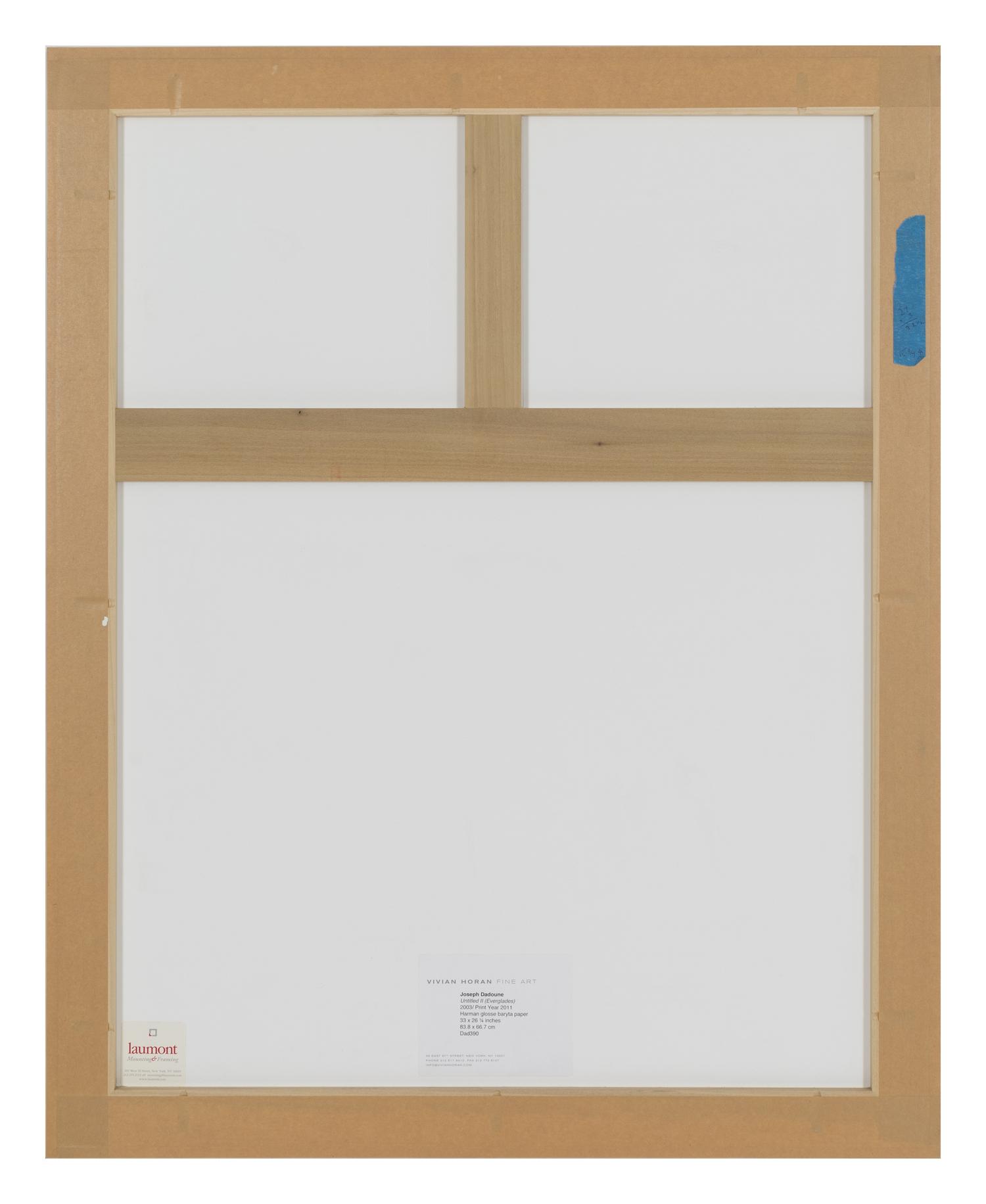 Untitled II (Everglades), A Triptych, 2003