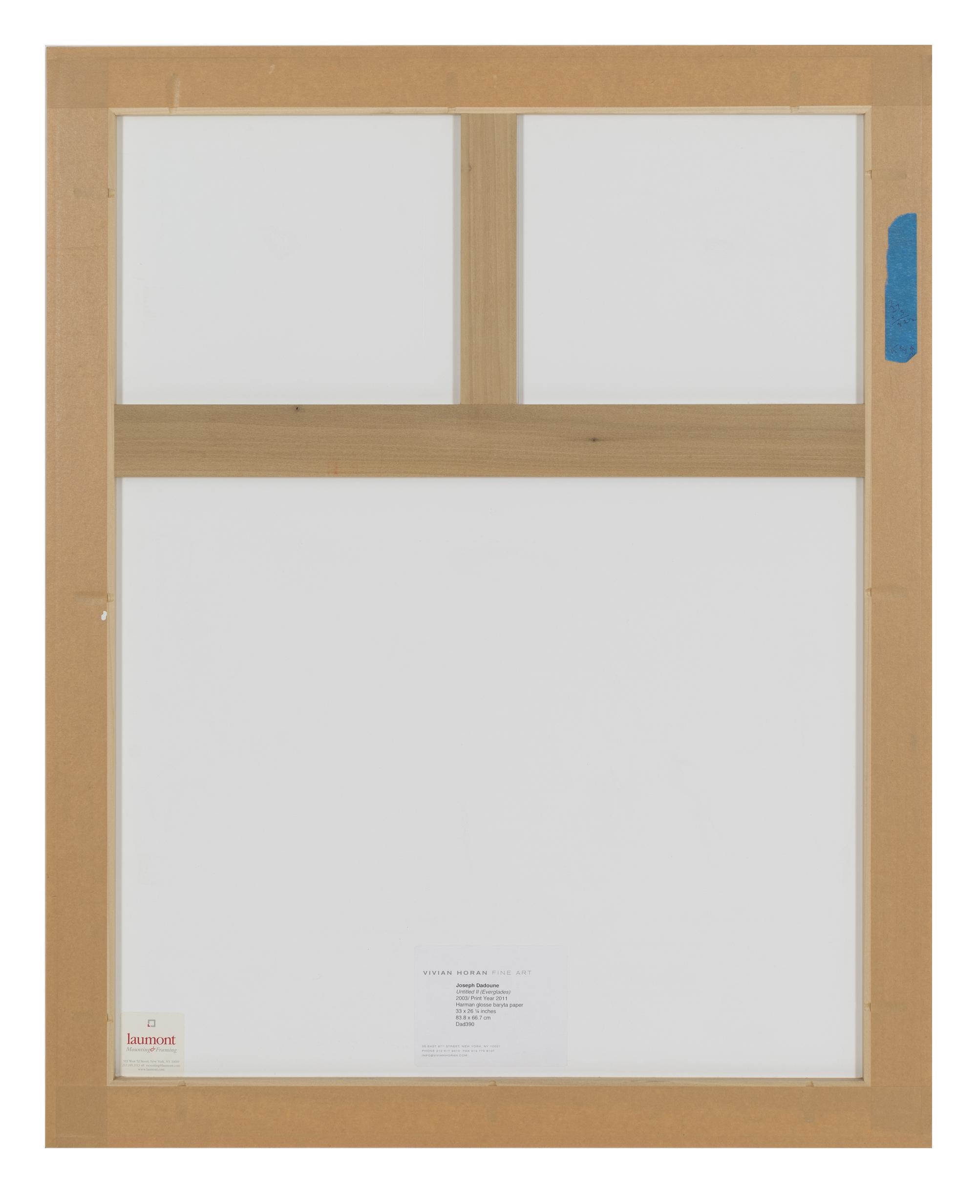 Untitled II (Everglades), A Triptych, 2003