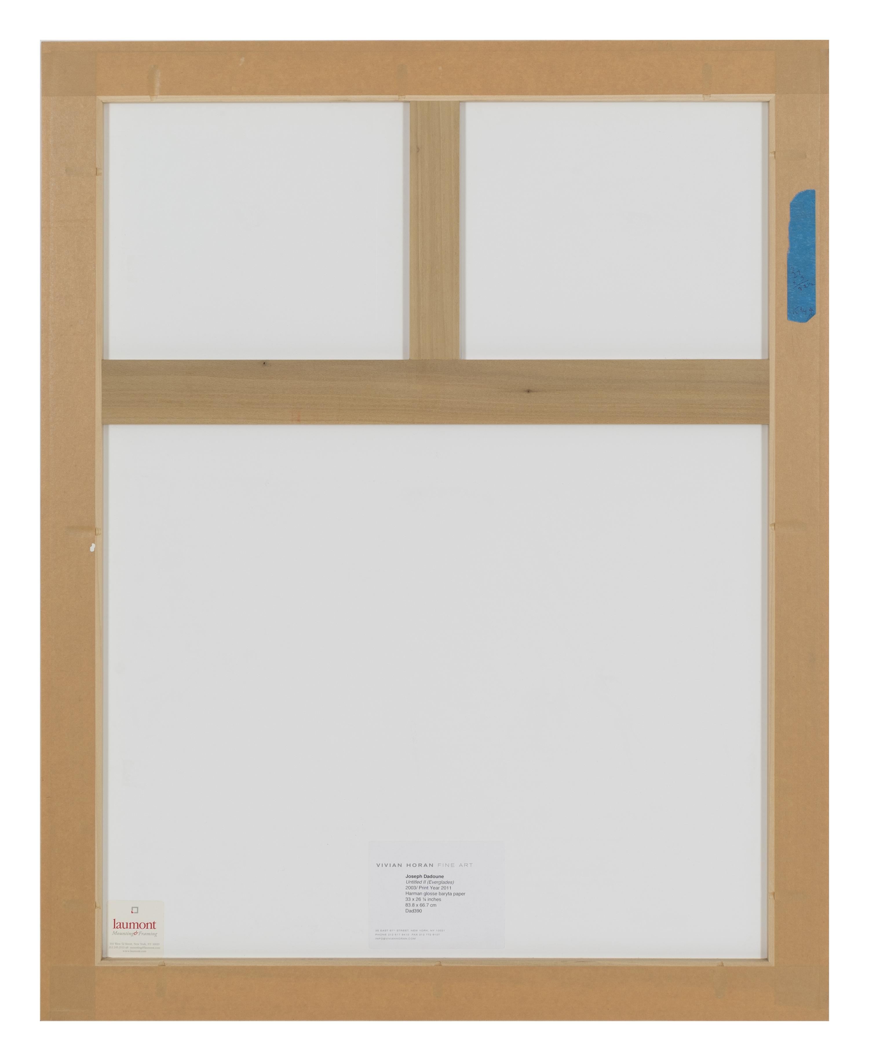 Untitled II (Everglades), A Triptych, 2003