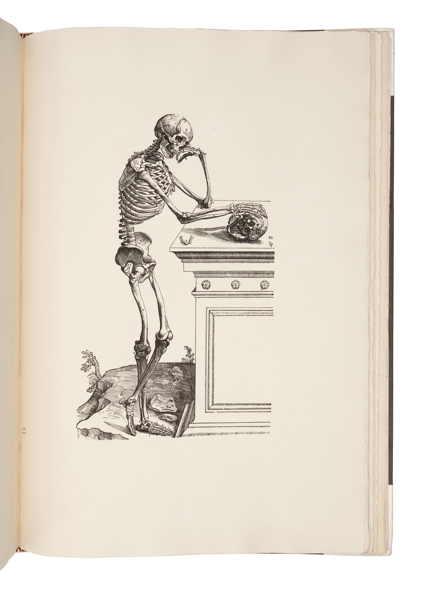[MEDICINE]. VESALIUS, Andreas (1514-1564). Icones anatomicae . Munich: The Bremer Press for the New York Academy of Medicine and the University of Munich Library, 1934-1935.
