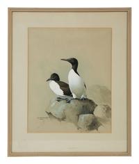 Untitled, 1961