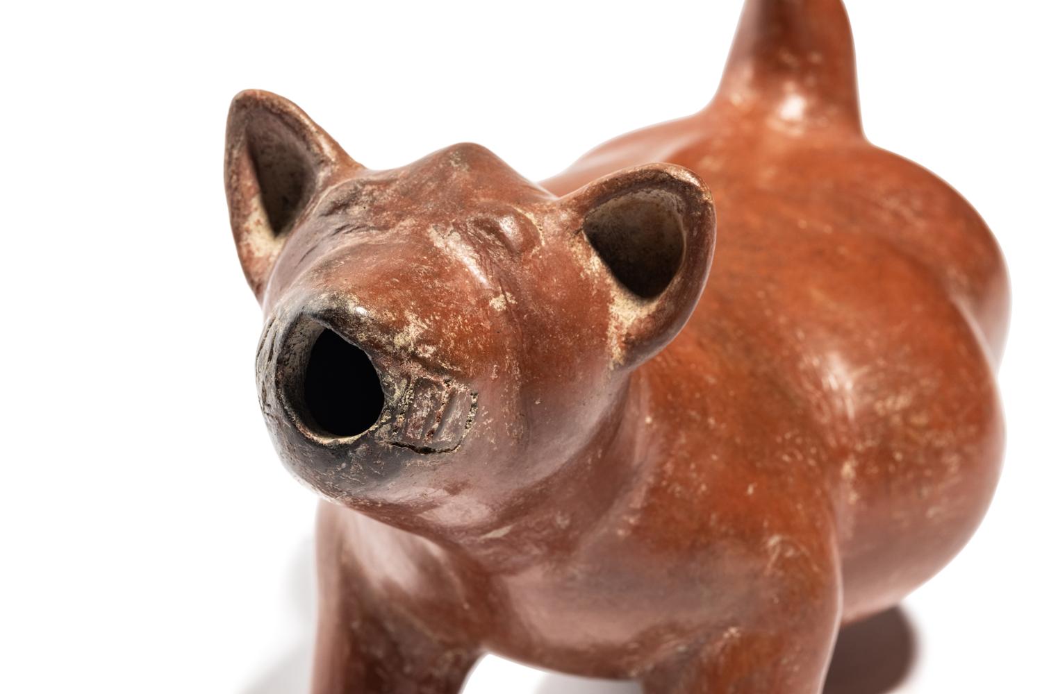 A Colima Dog Effigy Vessel