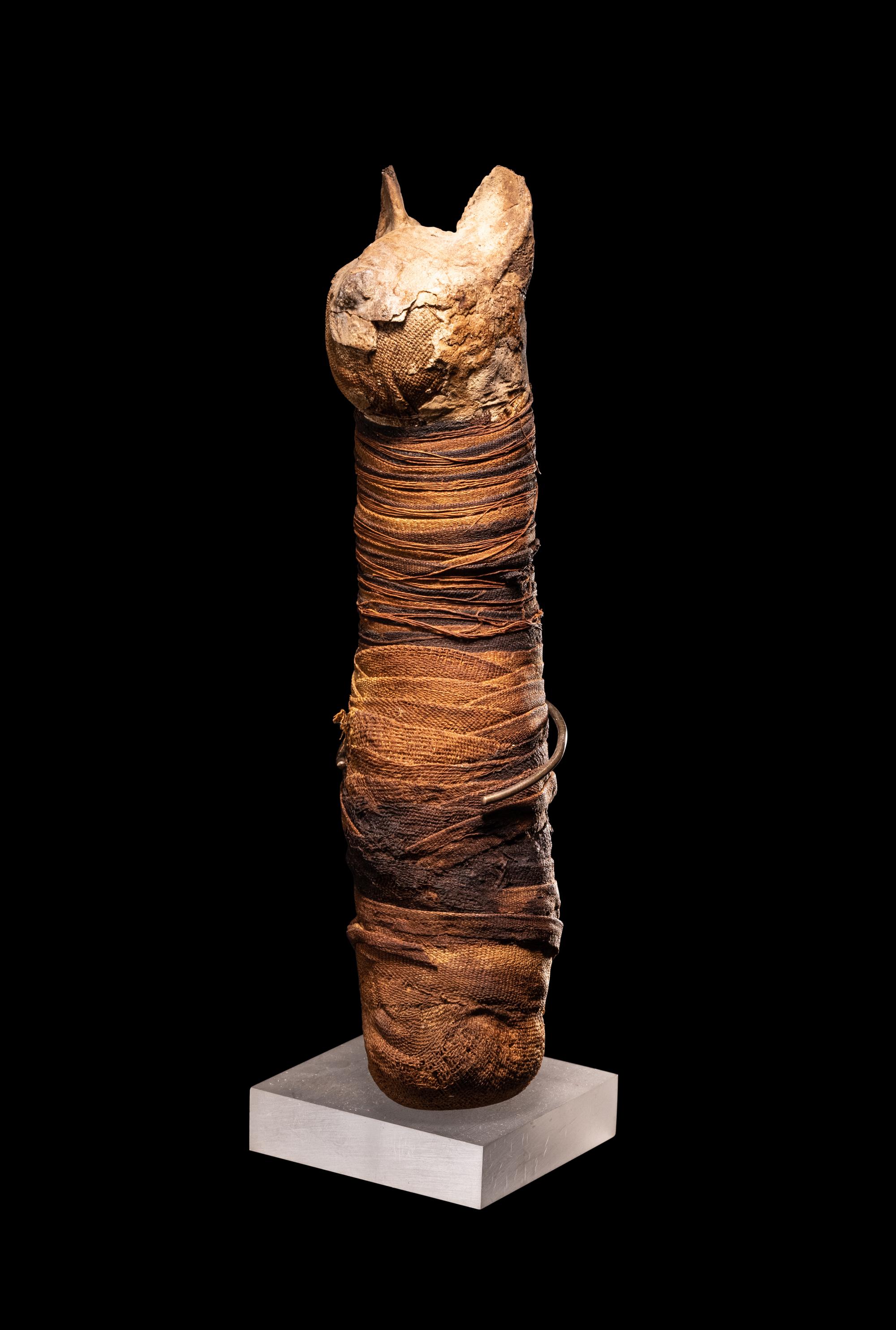 An Egyptian Mummified Cat