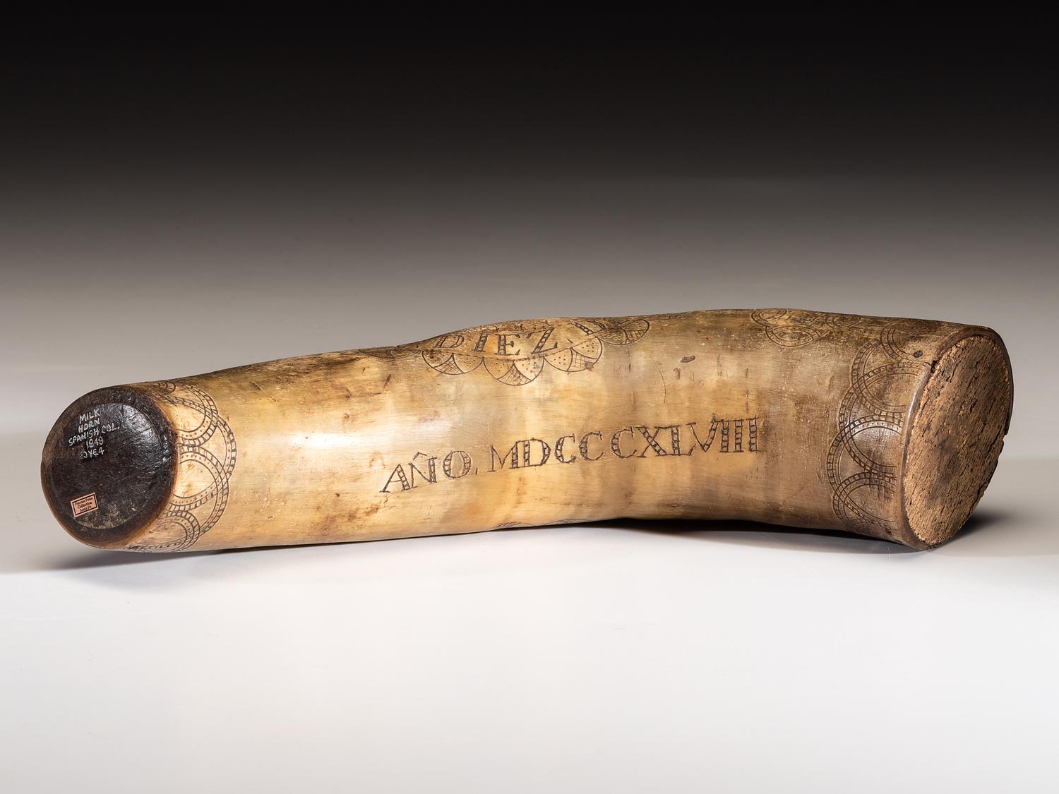 Early Spanish Colonial Milk Horn