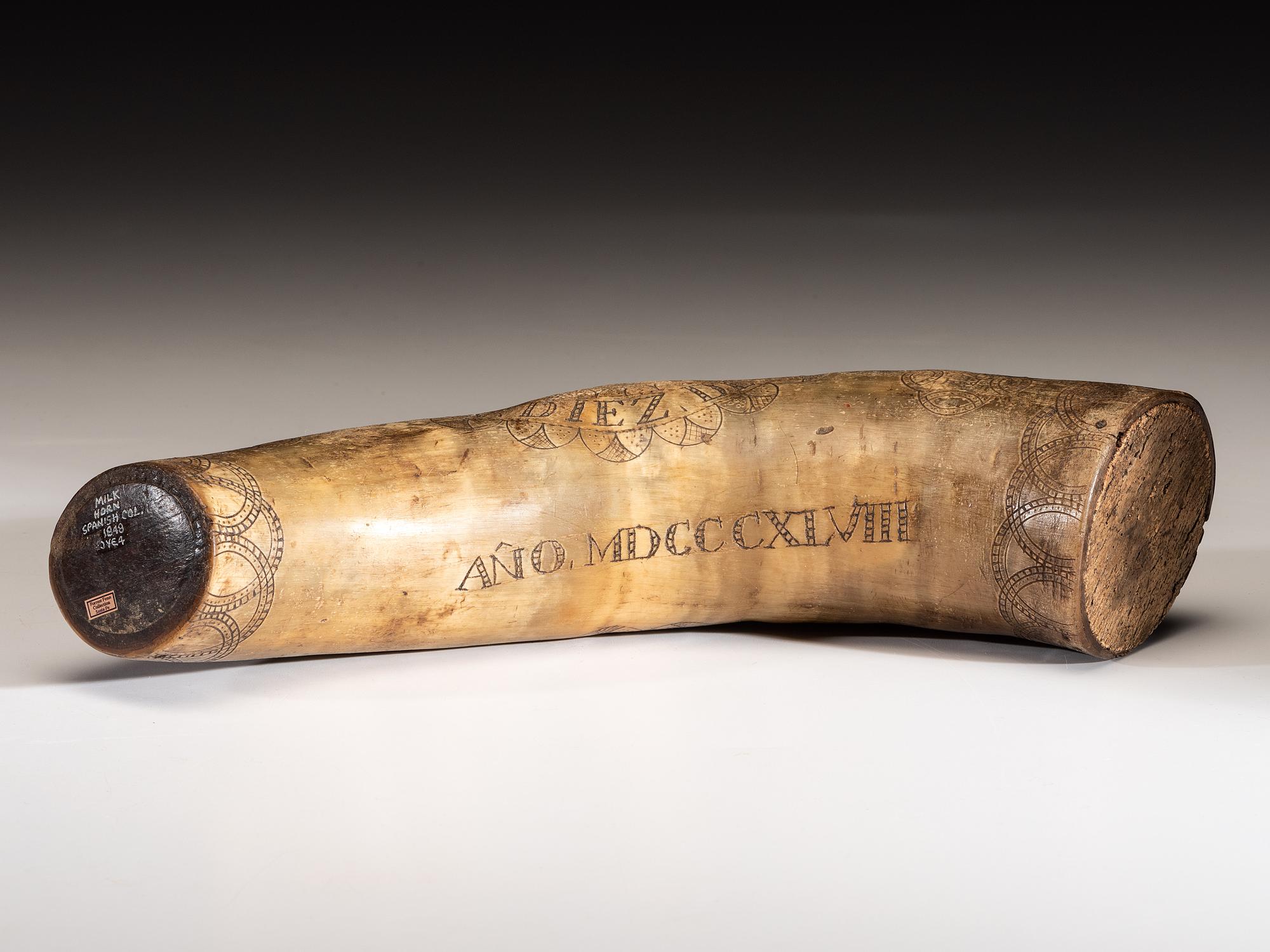 Early Spanish Colonial Milk Horn