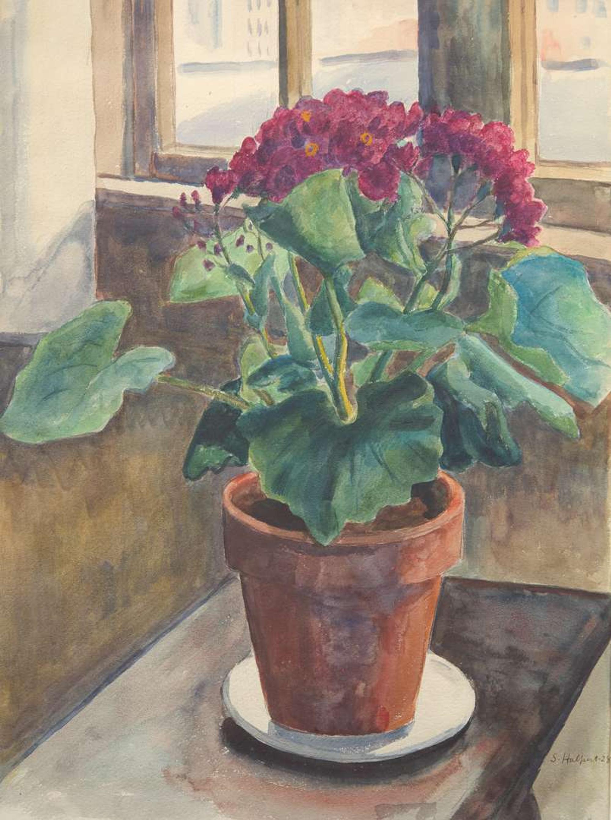 Samuel Halpert (American, 1884–1930) - Geranium