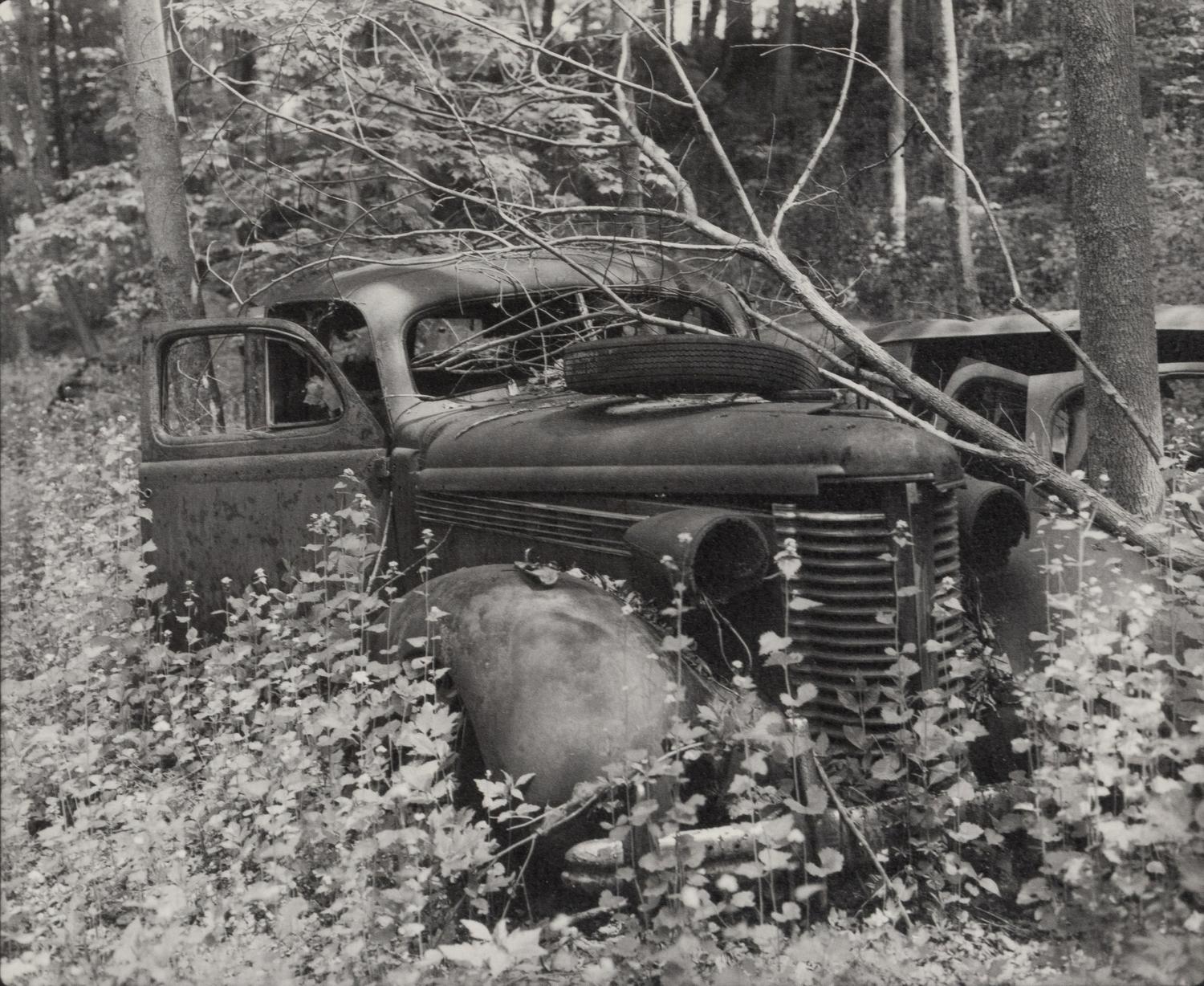 A group of fourteen photographs