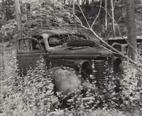 A group of fourteen photographs