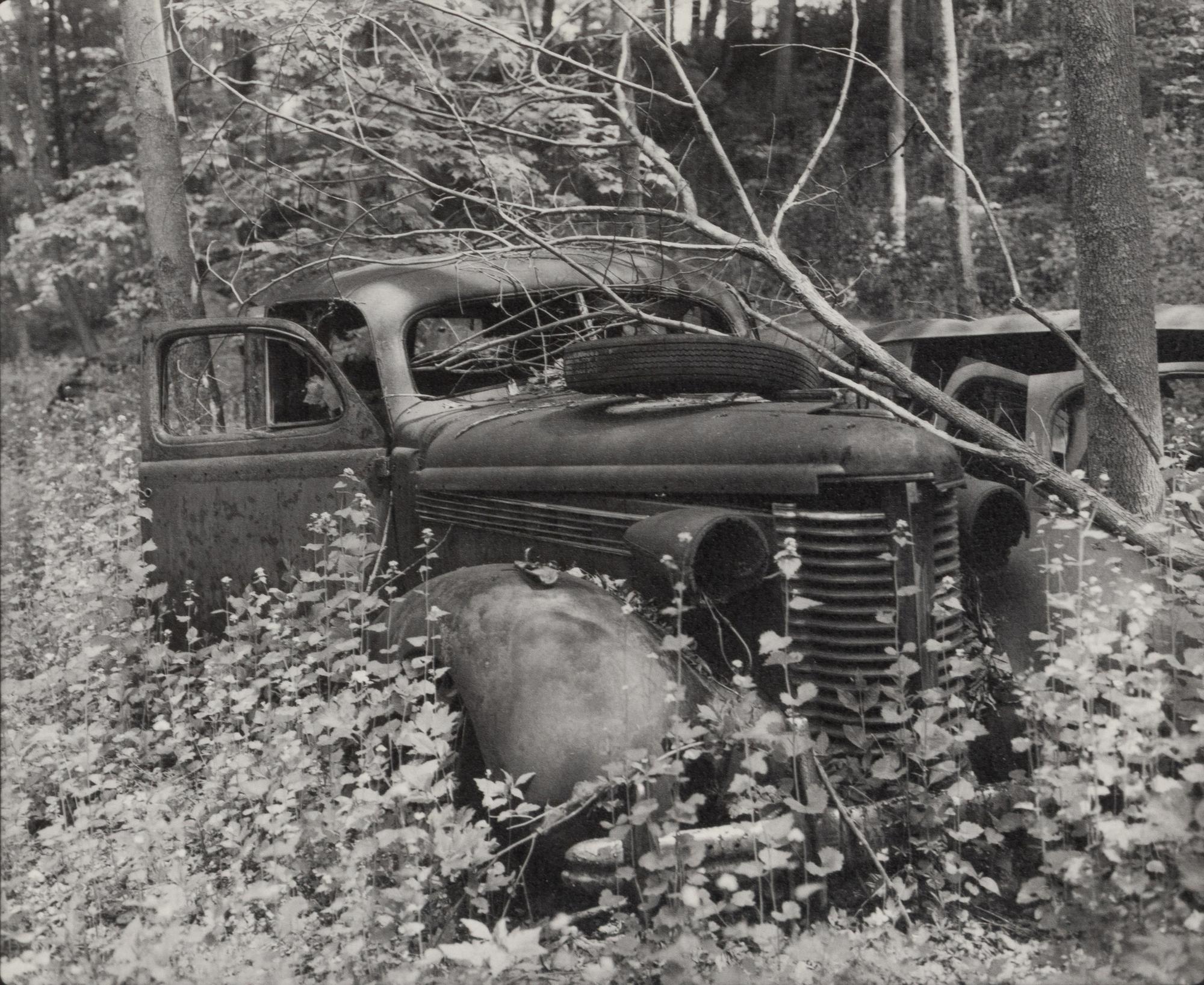 A group of fourteen photographs