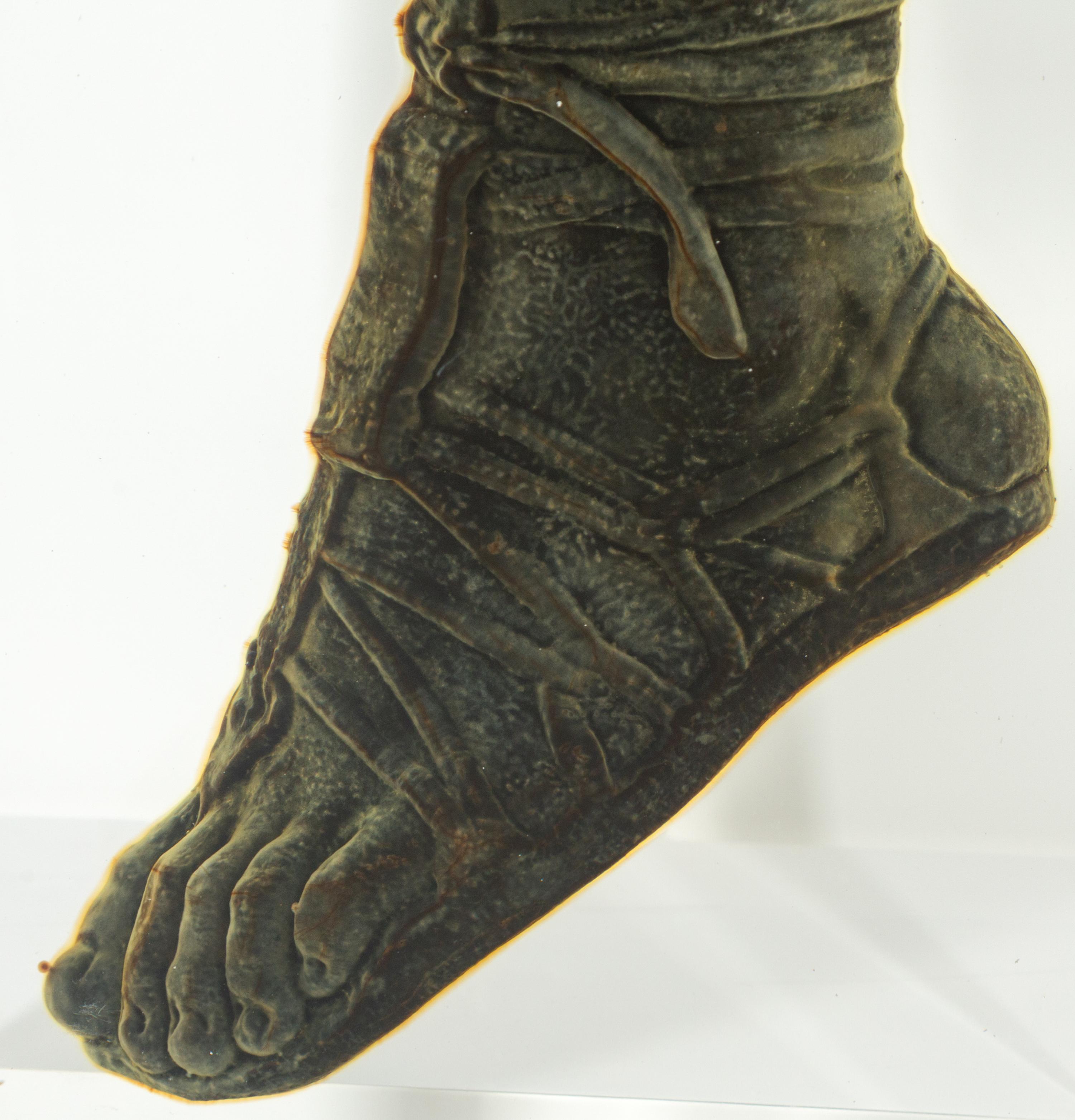 Kirkook 36° API in the form of Alexander the Great's Foot